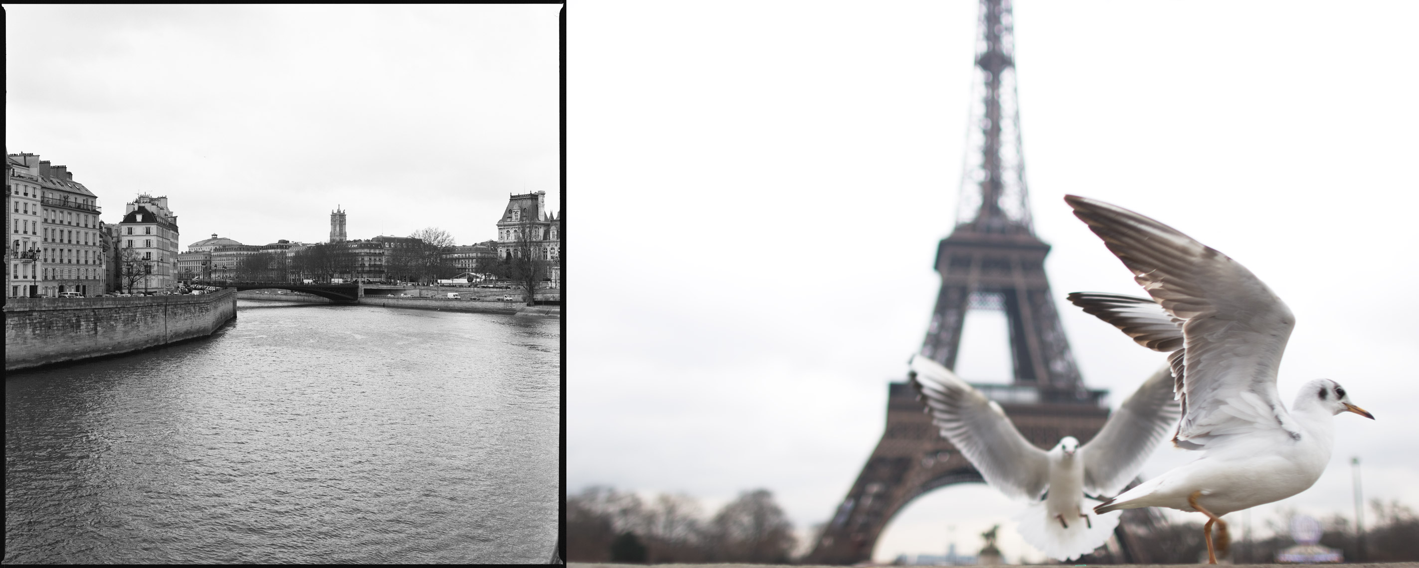 Sienne and Eiffel Tower, Paris